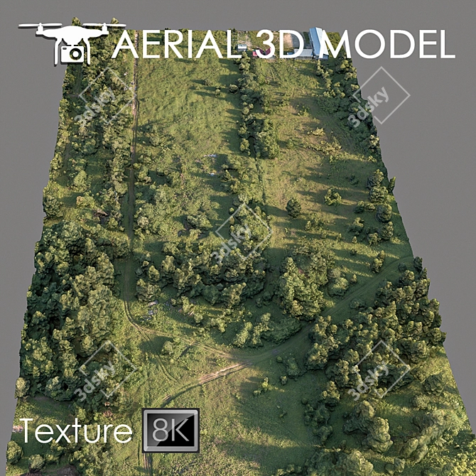 Forest 78: High-Resolution 3D Terrain Model 3D model image 1