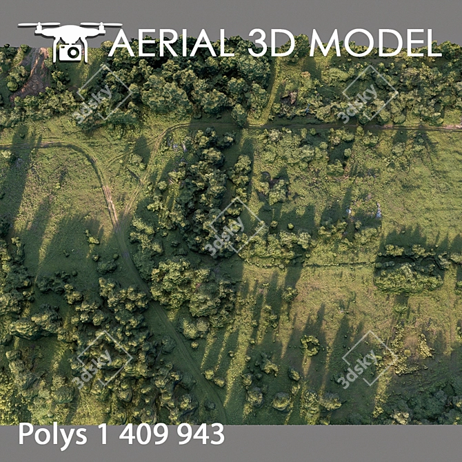 Forest 78: High-Resolution 3D Terrain Model 3D model image 4