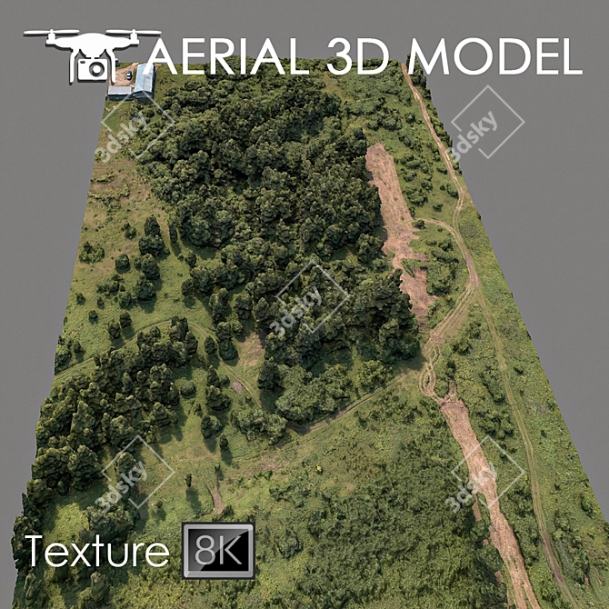 Aerial Landscape Model: Forest 75 3D model image 1