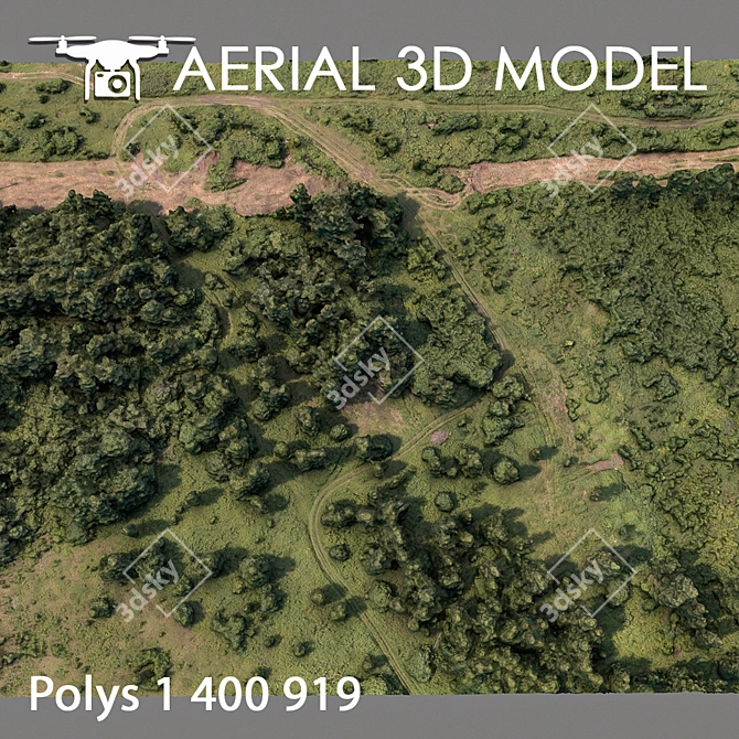 Aerial Landscape Model: Forest 75 3D model image 4