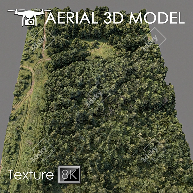 Forest Landscape 3D Scan 3D model image 1