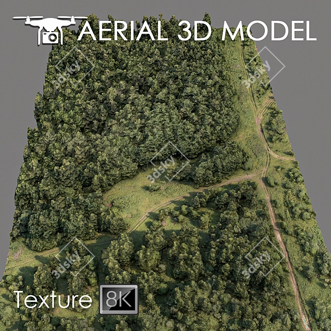 Forest Landscape 3D Scan 3D model image 2