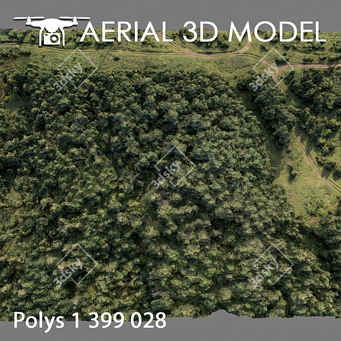 Forest Landscape 3D Scan 3D model image 4