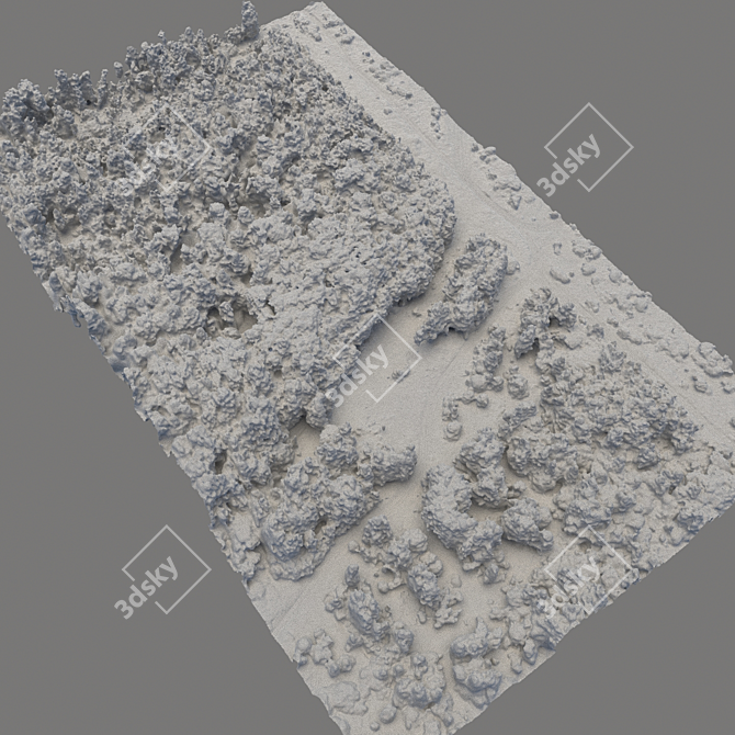 Forest Landscape 3D Scan 3D model image 5