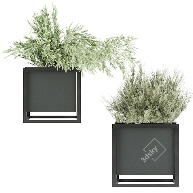 Volume 14: Premium Plant Collection 3D model image 3