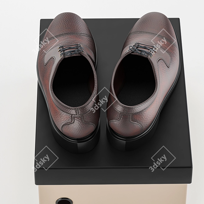 Title: Sleek Convertible Shoes 3D model image 4