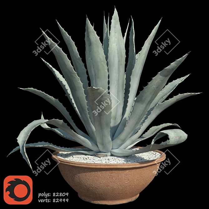 Title: American Blue Agave: Stunning Potted Plant 3D model image 1