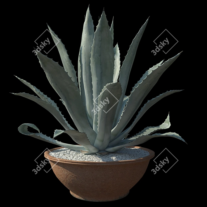 Title: American Blue Agave: Stunning Potted Plant 3D model image 2