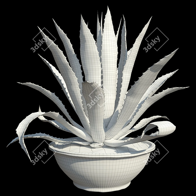 Title: American Blue Agave: Stunning Potted Plant 3D model image 4