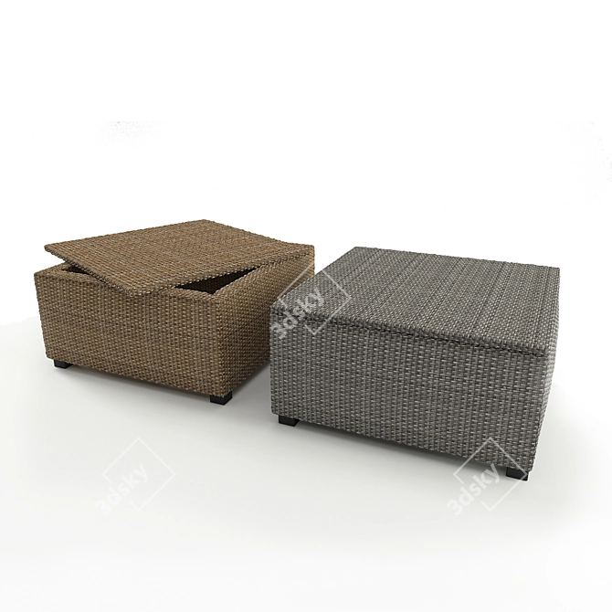 SOLLERON Rattan Garden Pouf 3D model image 1