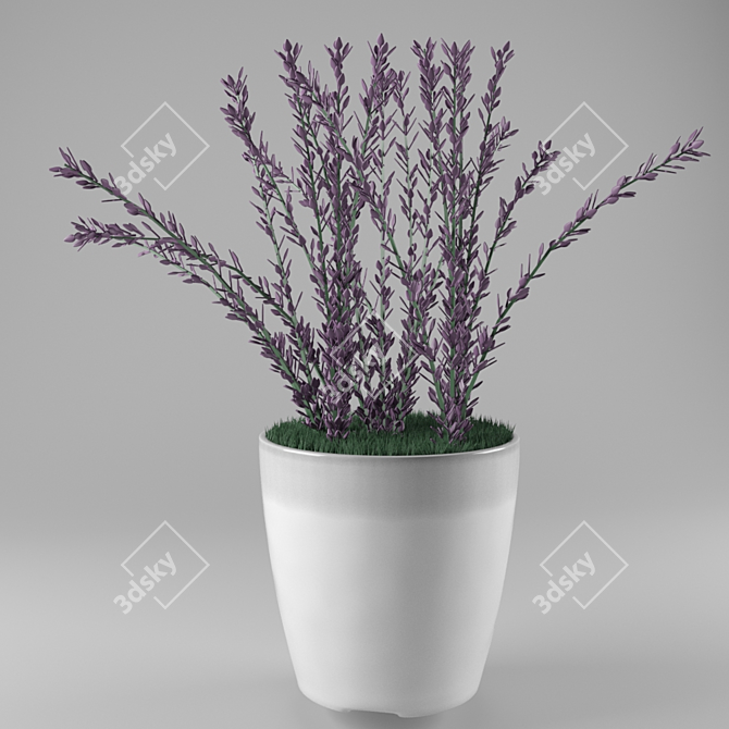 White Ceramic Lavender: Stunning 3D Model 3D model image 1