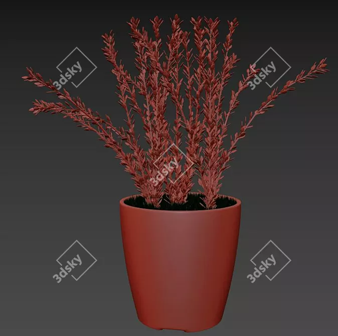 White Ceramic Lavender: Stunning 3D Model 3D model image 3