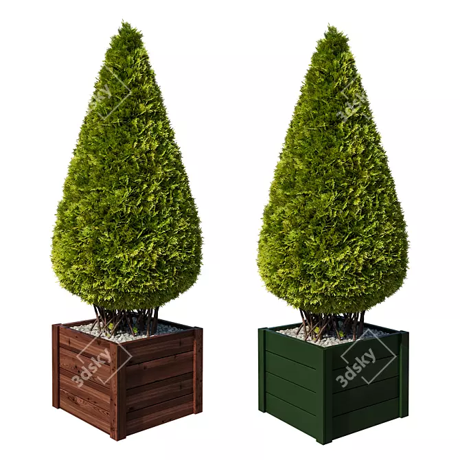 Title: Giant Thuja Folded Sculpture 3D model image 1