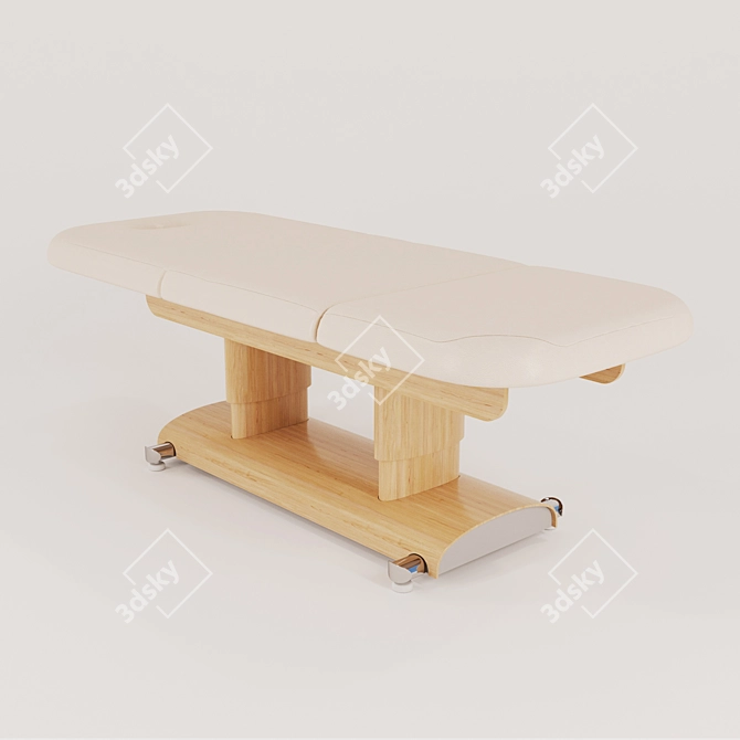 GEMYA Electric Foldable Massage Bed 3D model image 1