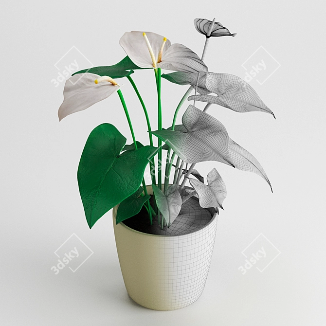 Tropical Beauty: Anthurium Plant 3D model image 2