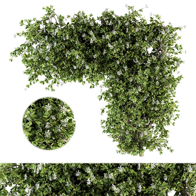 120 Ivy Plants Set - Perfect for Outdoor 3D model image 1