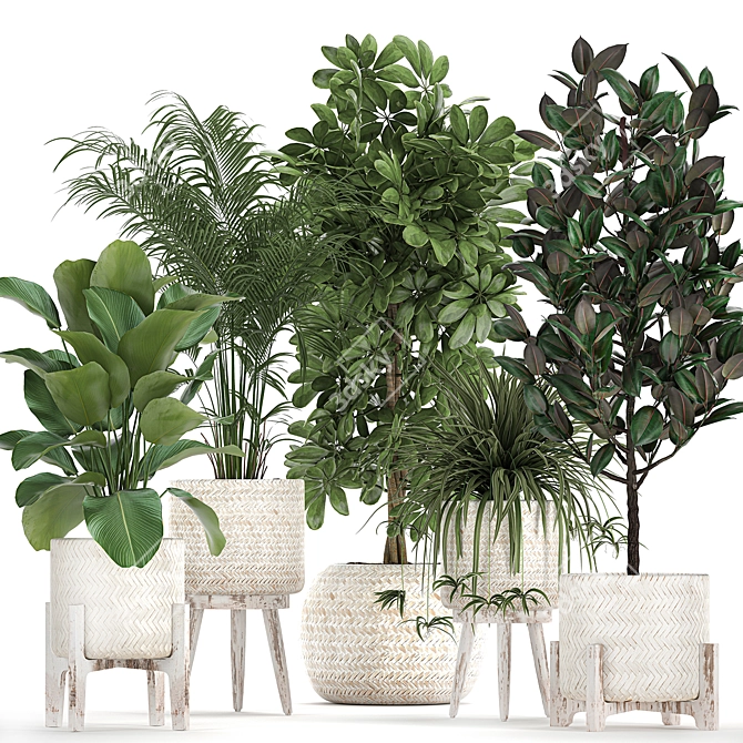Exotic Plant Collection in Rattan Baskets 3D model image 1
