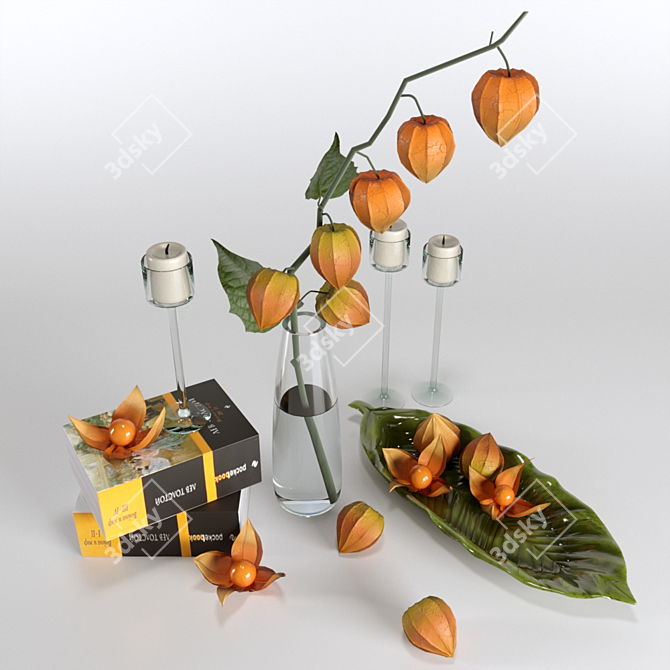 Elegant Physalis Decor Set 3D model image 2