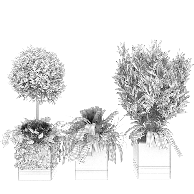 Botanical Bliss: Volume 31 Plant Collection 3D model image 5