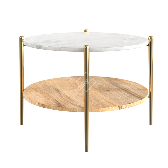 Elegant Mina Coffee Table 3D model image 2