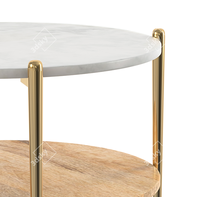 Elegant Mina Coffee Table 3D model image 3