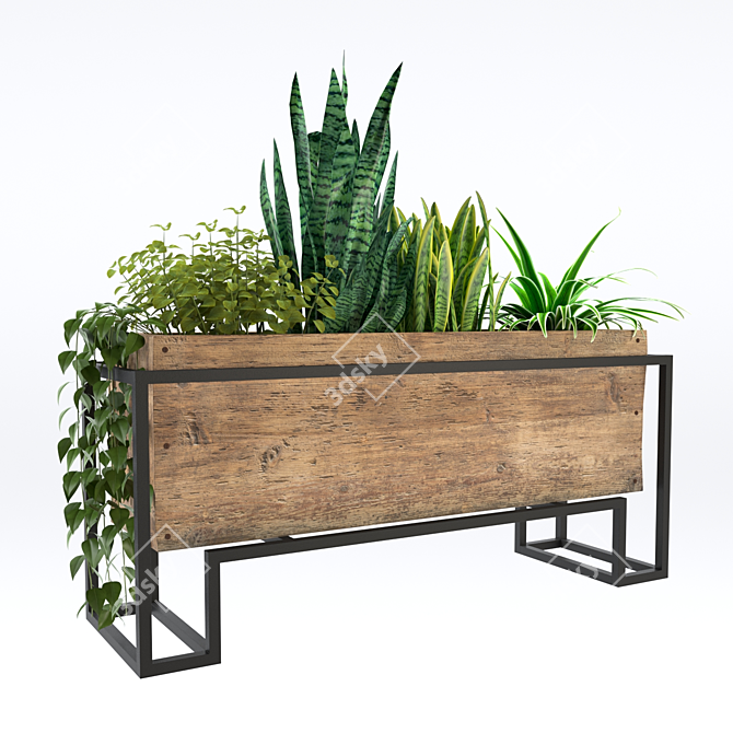 20 Plant Collection: 3ds Max 2013, Corona, OBJ, Textures 3D model image 1