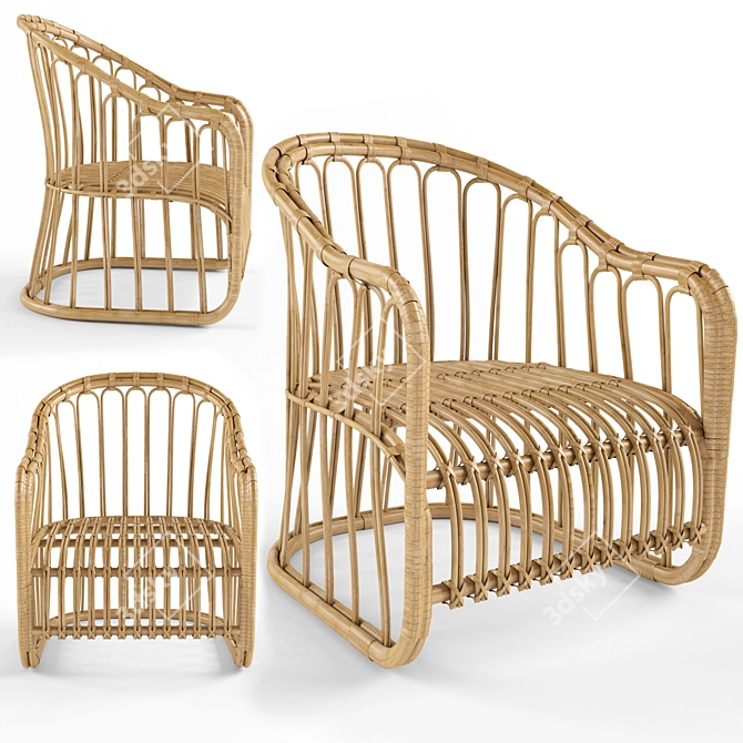 Summerhouse Rattan Dining Chair 3D model image 1