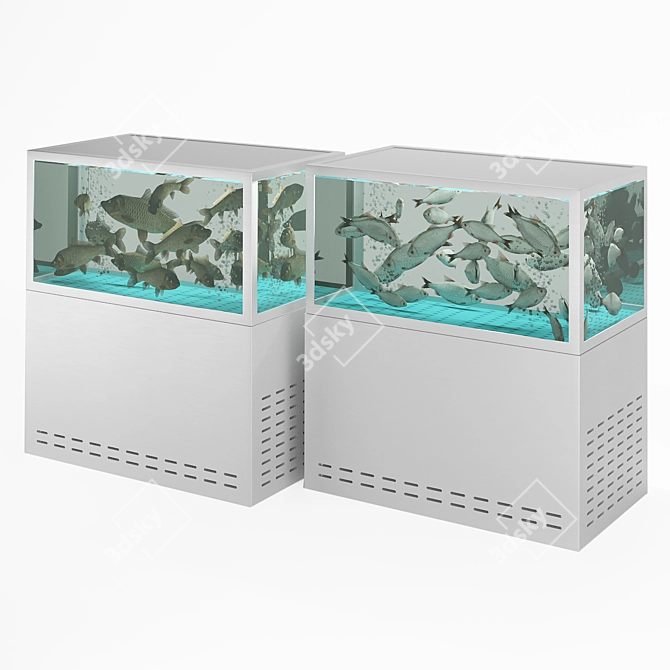 Aquatic Delight: Carp and Roach Aquarium 3D model image 1