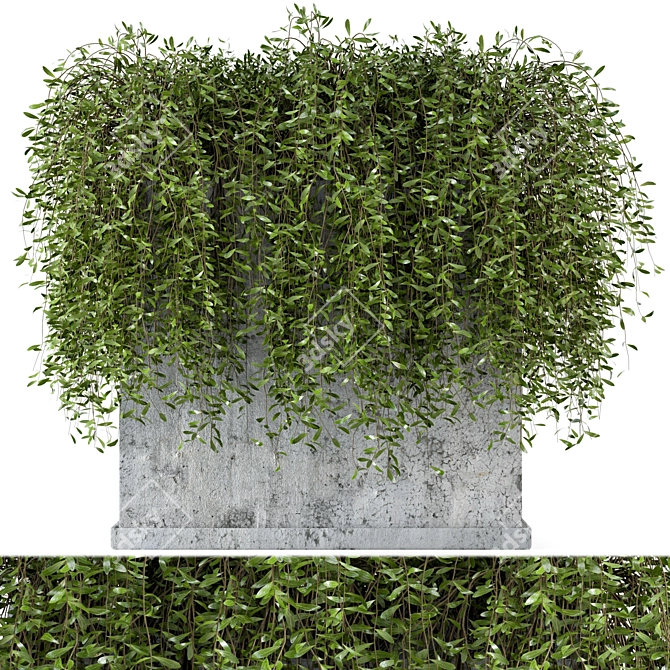Rusty Concrete Pot Set: Outdoor Plants 3D model image 1