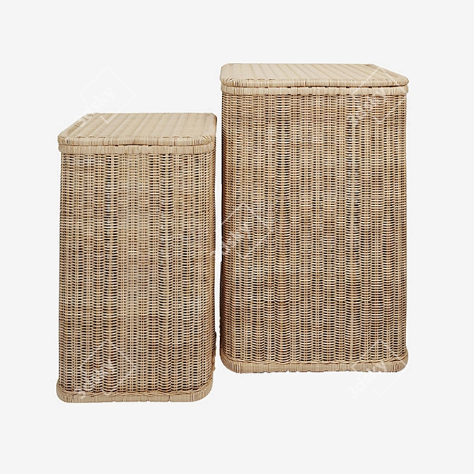 KOK MAISON Rattan Laundry Baskets - Set of 2 3D model image 1