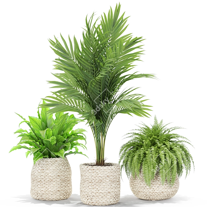 Lush Greenery: Plants Collection 438 3D model image 2