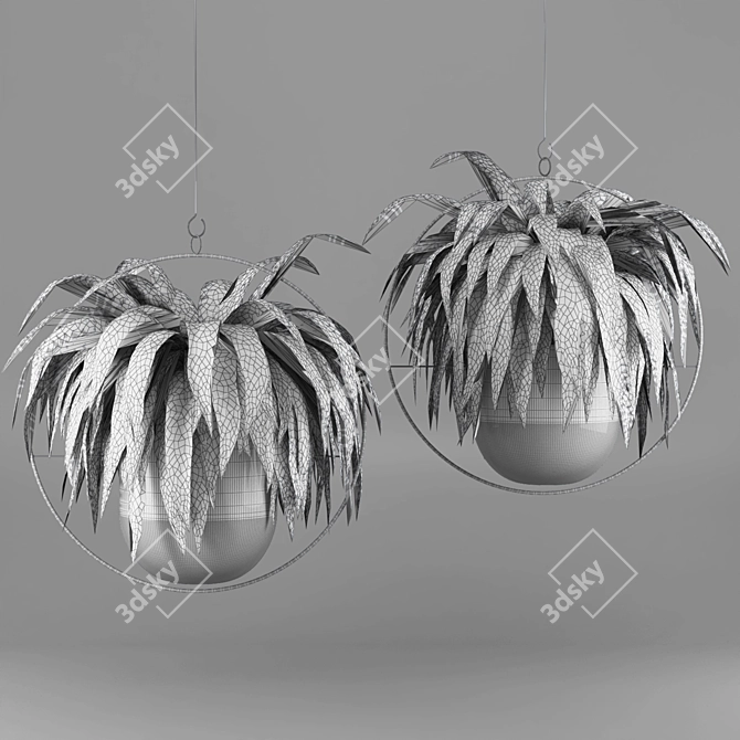 Lush Green Hanging Fern Duo 3D model image 6