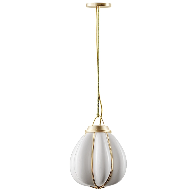 Nordenskiöld's Hobo Pendant: Sleek Elegance 3D model image 4