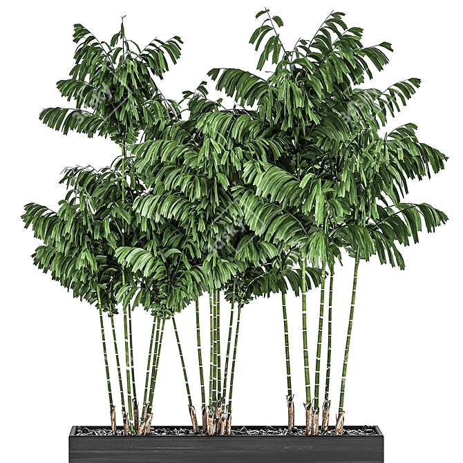 Tropical Plant Trio in Black Pots 3D model image 2