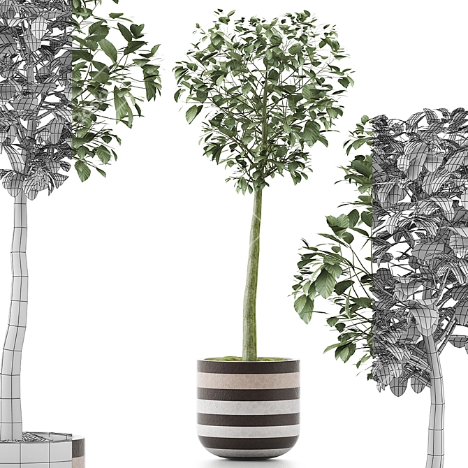 Heartleaf Indoor Plant: Elegant Corner Decor 3D model image 4