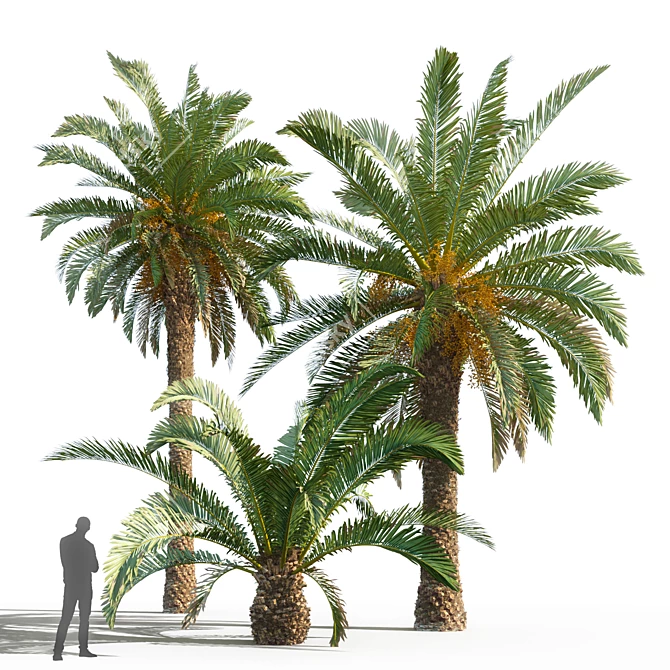 Title: Trio of Majestic Palm Trees 3D model image 1