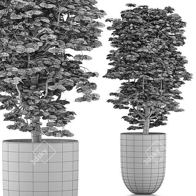 Exotic Geometry: 127 Ligustrum 3D model image 5