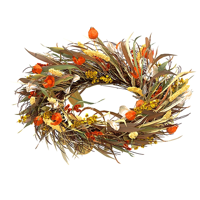 Autumn Harvest Dried Flower Wreath 3D model image 7