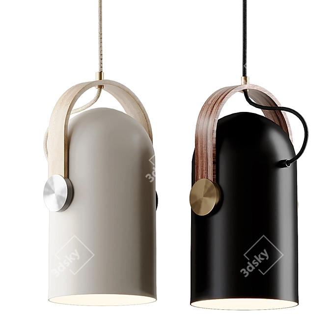 Sleek Carronade Pendant Light 3D model image 2