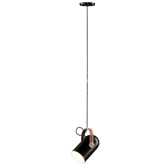 Sleek Carronade Pendant Light 3D model image 3