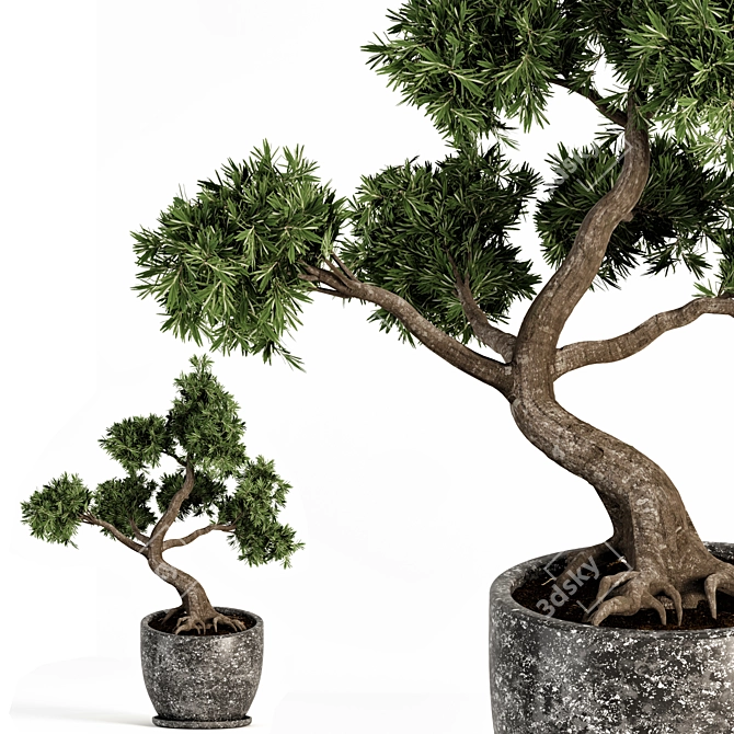 Zen Bonsai Tree Sculpture 3D model image 3