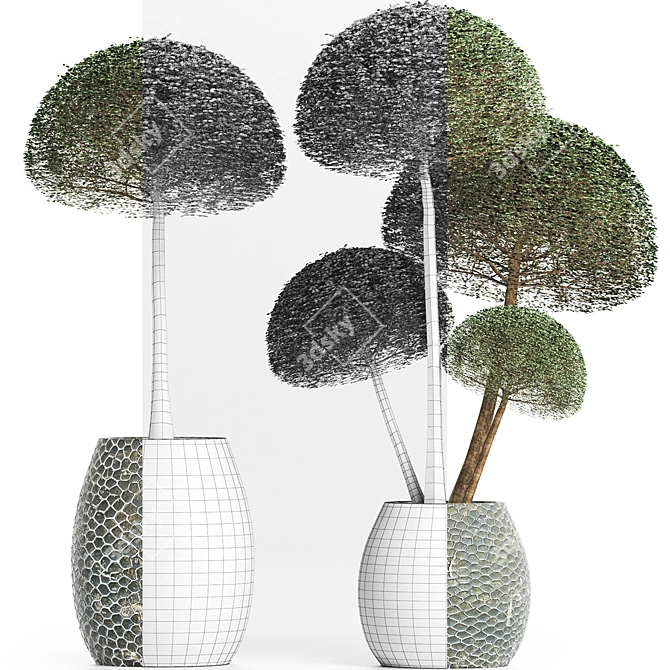 Exotic Houseplants: 3D Plant Collection 3D model image 3