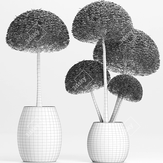 Exotic Houseplants: 3D Plant Collection 3D model image 5