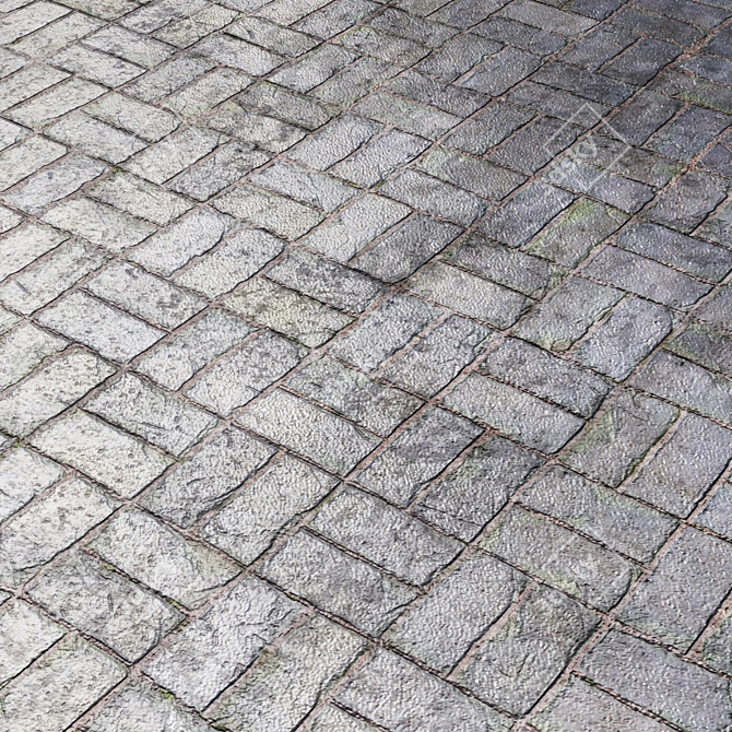 Title: Seamless Paving Materials for 3D Rendering 3D model image 2