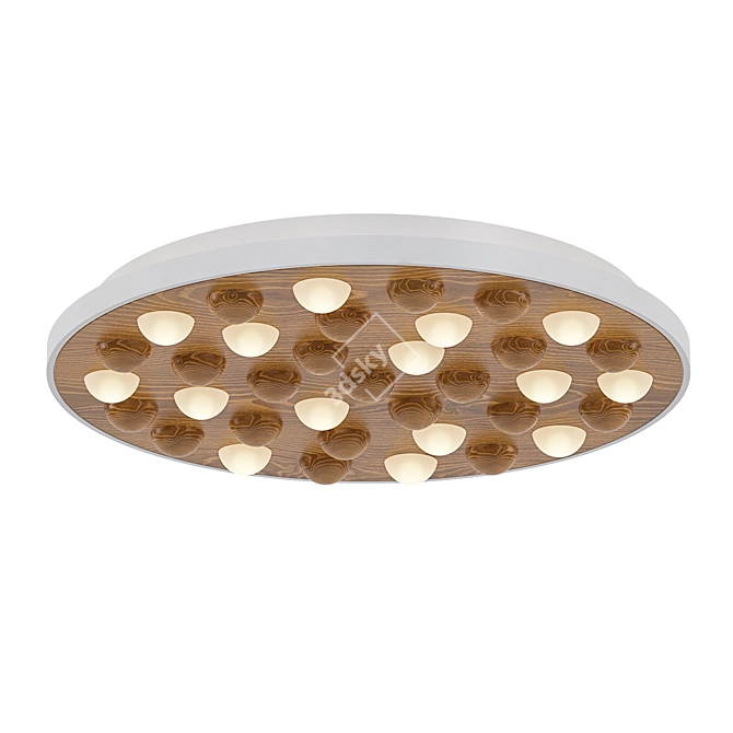 Eco Wood Ceiling Light - Pie 3D model image 1