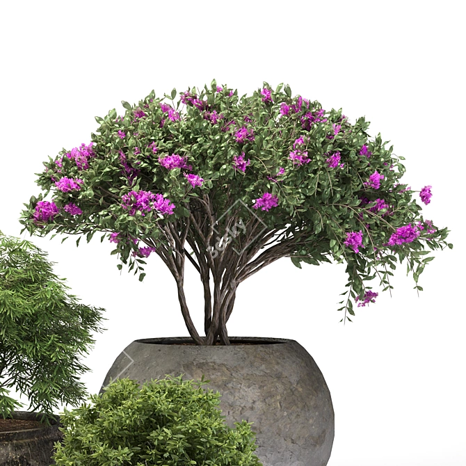 Polygon Outdoor Plant: 2K Textures 3D model image 3