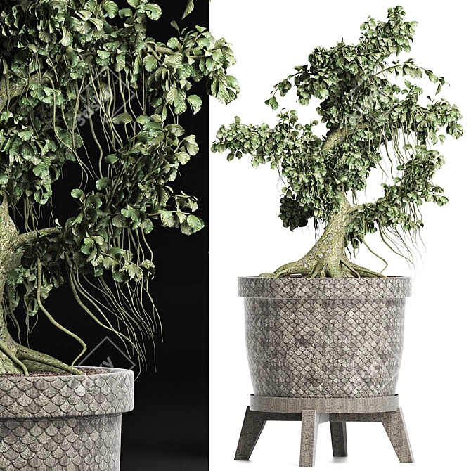 Sageretia Theezans: Mini Bonsai Beauty 3D model image 2