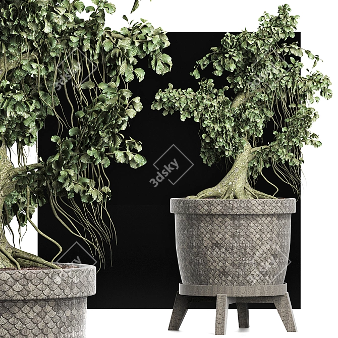 Sageretia Theezans: Mini Bonsai Beauty 3D model image 3