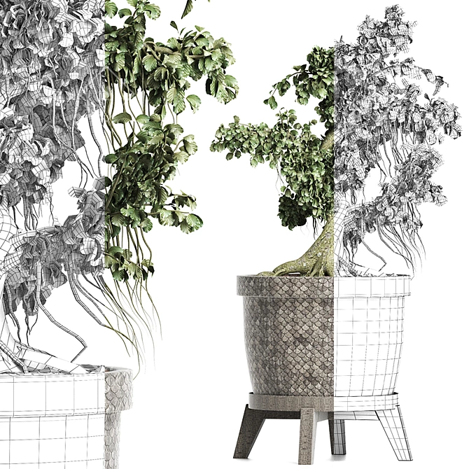 Sageretia Theezans: Mini Bonsai Beauty 3D model image 4