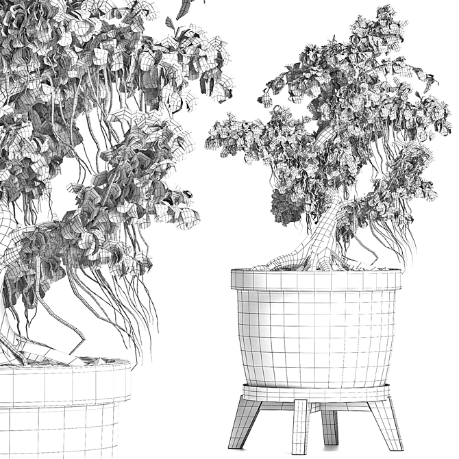 Sageretia Theezans: Mini Bonsai Beauty 3D model image 5